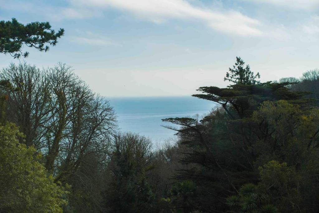 Beautiful Beach Side Apartment Torquay Exteriör bild